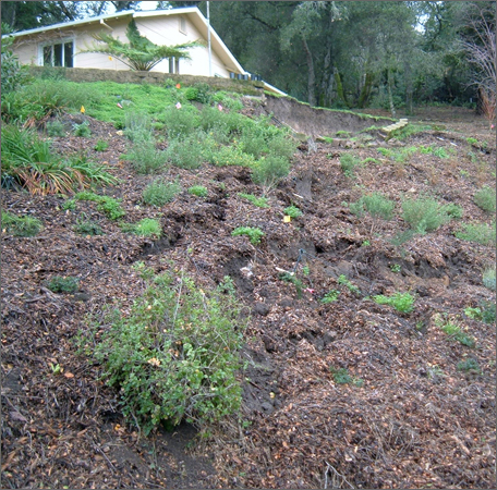 woodside landslide